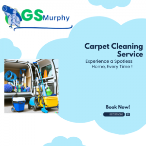 Revitalize Your Rugs: Professional Secrets for Home Carpet Cleaning